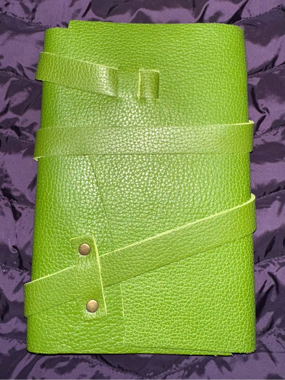 New Portland Leather Goods Medium Wrap Journal in Mantis Green
